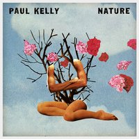 Seagulls of Seattle - Paul Kelly