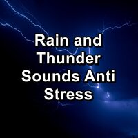 Cozy Rain and Thunder in the Rainy Forest Relaxing and Loopable for a 10 Hours Sleep - Binaural Beats Sleep & Sleep Music & Sleep