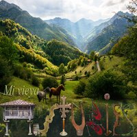 Vieyus amigus - ESDEIHEWE