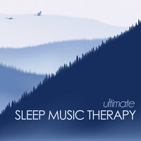Spirit in Flight - Ambient Music Tribe