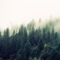 Black and White Solos - Musica Para Niños & Spa & Música De Relajación Para Dormir Profundamente