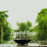 President Rain - Yoga Rain