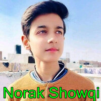 Da Mayan Zaragi Halona Ba Tol Dar Kam - Norak Showqi