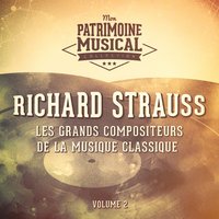 Don Quichotte, Op. 35 : Le combat avec le mouton - Orchestre Symphonique de Chicago & Рихард Штраус