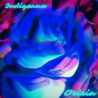 All Day - Indigeaux