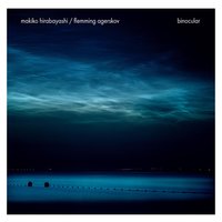 Snare Drum - Makiko Hirabayashi & Flemming Agerskov