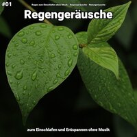 Regengeräusche, pt. 50 - Regen zum Einschlafen ohne Musik & Regengeräusche & Naturgeräusche