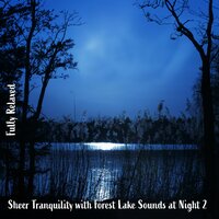 Sheer Tranquility with Forest Lake Sounds at Night, Pt. 1 - Steve Brassel