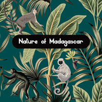 Among the Baobabs - Natural Sounds Music Academy & Nature Music Sanctuary