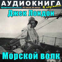 Глава 15, Чт. 1 - Аудиокнига в кармане & Максим Доронин