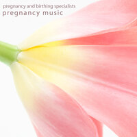 Sunshine and Blossoms - Pregnancy and Birthing Specialists