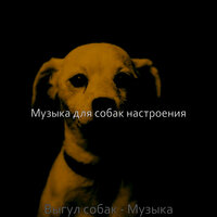 Впечатление (Спящие собаки) - Музыка для собак настроения