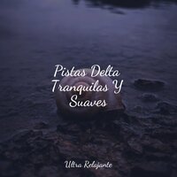 Mareas De Calma - Hipnose Natureza Sons Coleção & Canção de Ninar Bebê & Unidad de música zen relajante