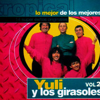 No digas el motivo - Yuli y Los Girasoles