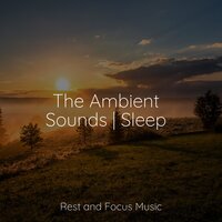 Glowing Horizons - The Sleep Specialist & Rain Sounds XLE Library & Thunderstorm Sleep
