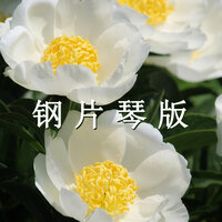 宁静美丽时光(钢片琴) - 疗愈音律
