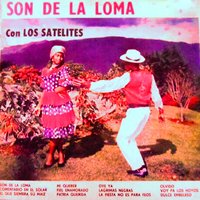 La fiesta no es para feos - Los Satelites