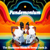 Shook - Seven Davis Jr. & Osunlade & The Illustrious Blacks
