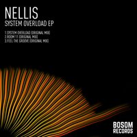 System Overload - Nellis