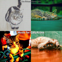 Music (Moment) - Music for Cats Prime