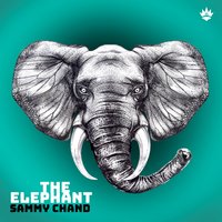 The Elephant - Sammy Chand