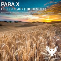 Fields Of Joy - Para X