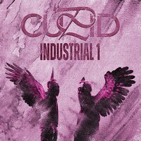 We Success - Cupid