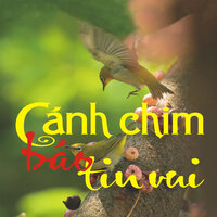 Lê anh nuôi - Tran Hieu