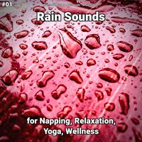Comforting Rain Sounds - Rain for Deep Sleep & Rain Sounds & Nature Sounds