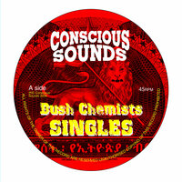 Death Row Dub 2 - Bush Chemists