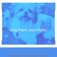 Subtle Calming Your Dog - Dog Piano Jazz Radio