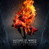 Fake it to Make it - Nature Of Wires & Lady bNOW & Asota Music International