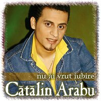 Noaptea se lasa - Catalin Arabu