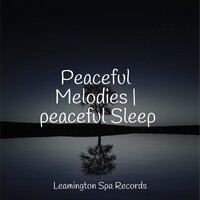 Meditation Music - Study Music & Sounds & Childrens Music & Meditation Awareness
