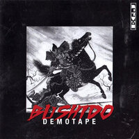 10 von 12 - Bushido & Vader