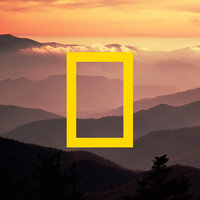 National Geographic Theme - Elmer Bernstein