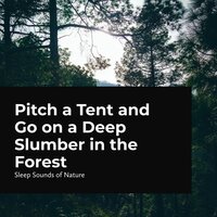 Wilderness Camping - Sleep Sounds Of Nature