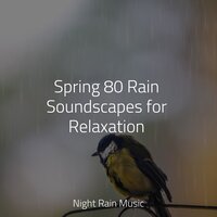 Forest, Birds, River Close - Sounds of Nature: Thunderstorm, Rain & Baby Sleep & Healing Sounds for Deep Sleep and Relaxation