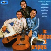 Adios Adios - Los 3 Paraguayos