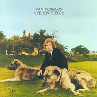You Don't Pull No Punches, But You Don't Push The River - Van Morrison