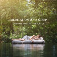 Harmony from Nature Sounds - Yin Yoga Music Collection