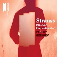 Strauss, Richard: Ein Heldenleben, Op. 40, TrV 190: III. Des Helden Gefährtin - Валерий Гергиев & Рихард Штраус