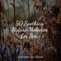 Healing Sounds - Meditation Music Experience & Tibetan Singing Bowls for Relaxation & Hipnose Natureza Sons Coleção