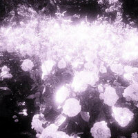 Last rain - apriltears