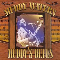 Mean Red Spider - Muddy Waters