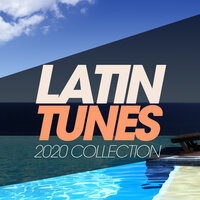Meu Carnaval - Relight Orchestra & Karim Razak