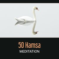 Focus on Your Spine - Meditation Mantras Guru