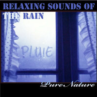 Rain, Storm, Thunder, City - pure nature