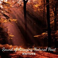 Astounding Calefaction - Nature Lab & Nature Sleep & Nature Noise
