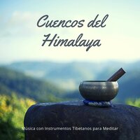 Suave Equilibrio - Templo del Silencio